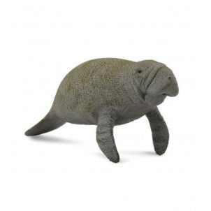 Manati collecta 2