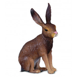 Liebre marron collecta 1
