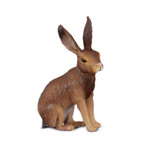 Liebre marron collecta 2