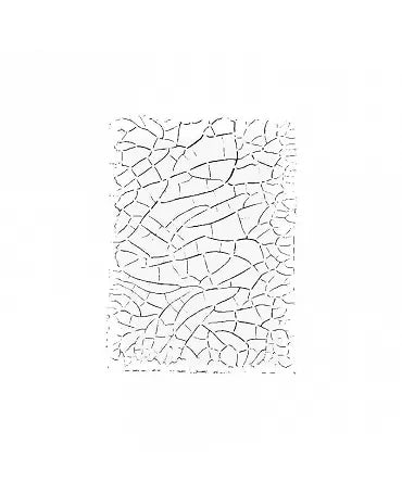 Stencils Cadence 21x30 CRAQUELADO 1