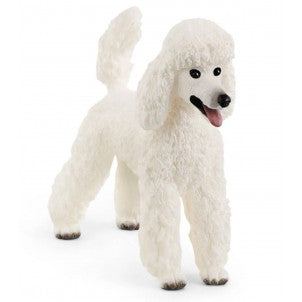 Caniche schleich 1