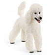Caniche schleich 1