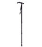 Bastón de Monte-Trekking extensible 1