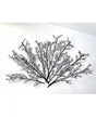 Árbol de Hielo 1
