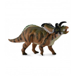 Medusaceratops collecta 1