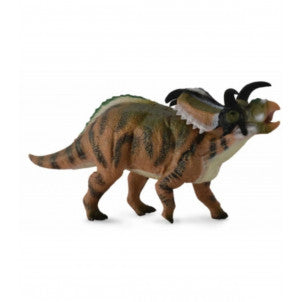 Medusaceratops collecta 2