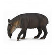 Tapir centroamericano collecta 1