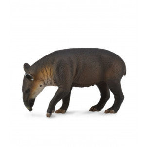 Tapir centroamericano collecta 2