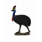 Casuario collecta 1