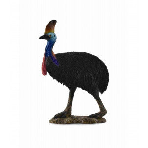 Casuario collecta 1