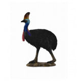 Casuario collecta 2