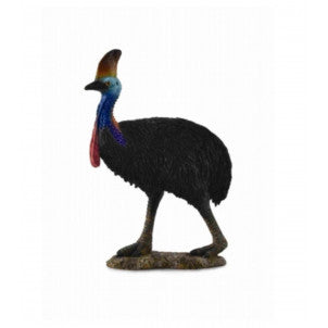 Casuario collecta 2