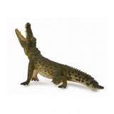 Cocodrilo del nilo collecta 1