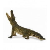 Cocodrilo del nilo collecta 2