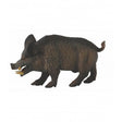 Jabali collecta 1