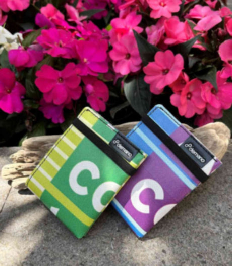 Cartera ninot hipalia demano 2