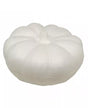 Porex CALABAZA 1
