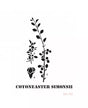 Stencil CADENCE 25X36cm COTONEASTER 1
