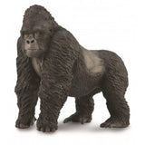 Gorila de montaña collecta 2