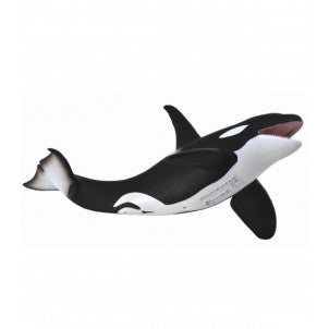 Orca collecta 2