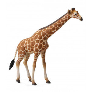 Jirafa collecta 2