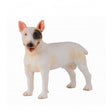 Bull terrier macho collecta 1