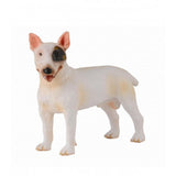 Bull terrier macho collecta 1