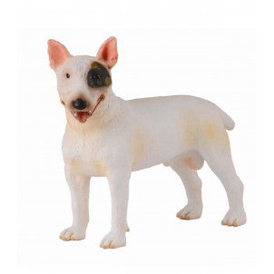 Bull terrier macho collecta 2