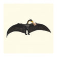 Ornithocheirus collecta 1