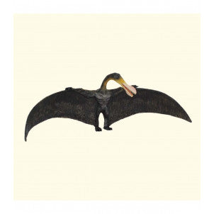 Ornithocheirus collecta 1