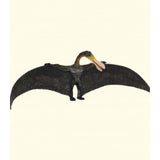 Ornithocheirus collecta 2
