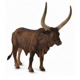 Toro watusi collecta 2