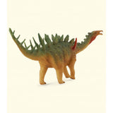 Miragaia collecta 2