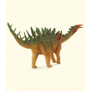 Miragaia collecta 2