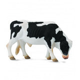 Toro friesian collecta 2