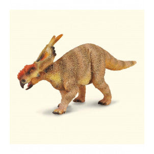 Achelousaurus collecta 1