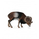 Muflon europeo collecta 1