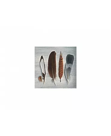 Servilletas PLUMAS 1