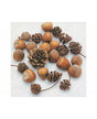 Servilletas NUECES Y PIÑAS 1