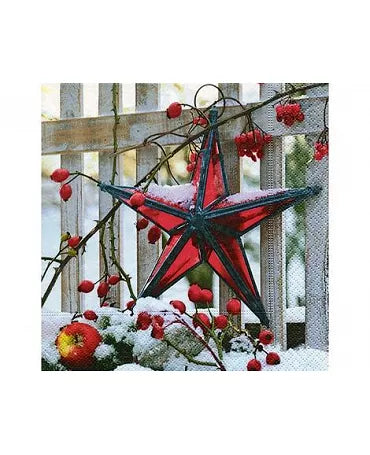 Servilletas VALLA CON ESTRELLA ROJA 1