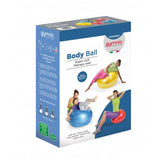 Body ball 55 brq azul gymnic 1