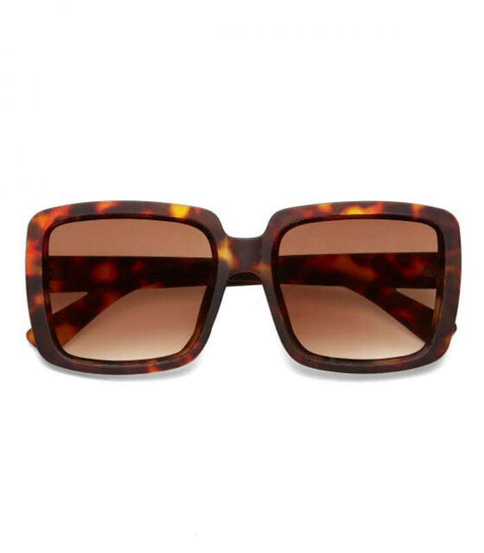 Gafas de sol okkia alessia classic havana 1