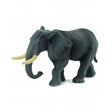 Elefante africano collecta 1