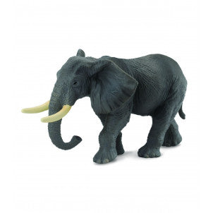 Elefante africano collecta 1