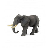 Elefante africano collecta 2