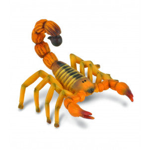Escorpion collecta 1