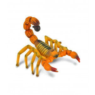 Escorpion collecta 2