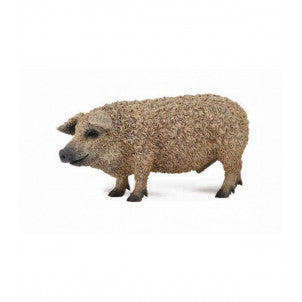 Cerdo mangalica collecta 1