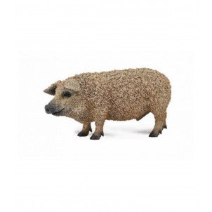 Cerdo mangalica collecta 2
