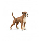 Perro boxer collecta 2